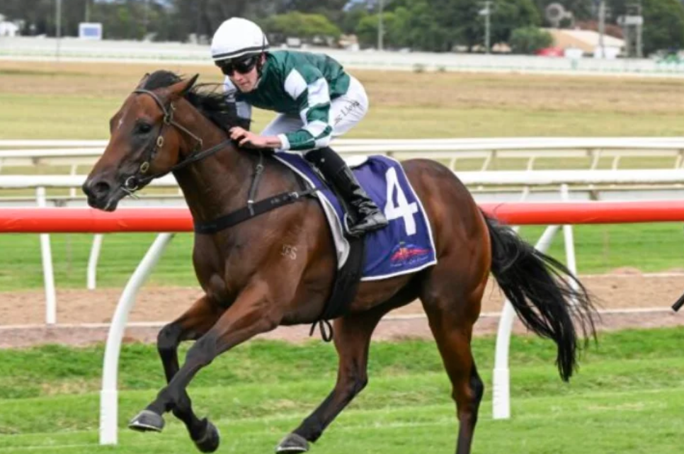 ecurie gagnant || ecurie gagnante